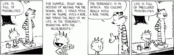 Calvin & Hobbes - Possibilities